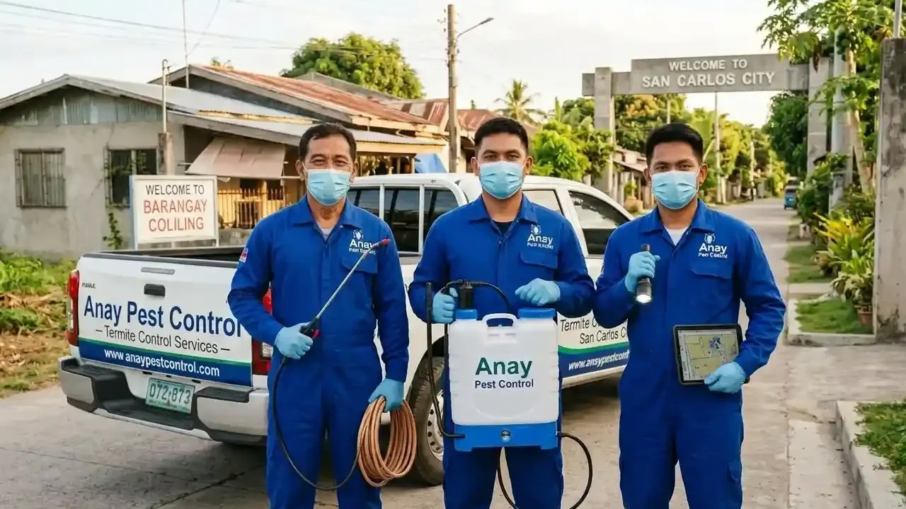 Anay Pest Control in San Carlos City Pangasinan conducting a inspection and applying solution for a home