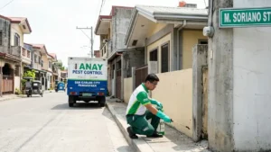 ant control in m soriano street spraying on the ant to terminate them