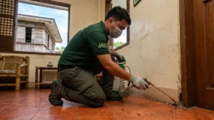 ant control in poblacion applying ant solution to remove ants