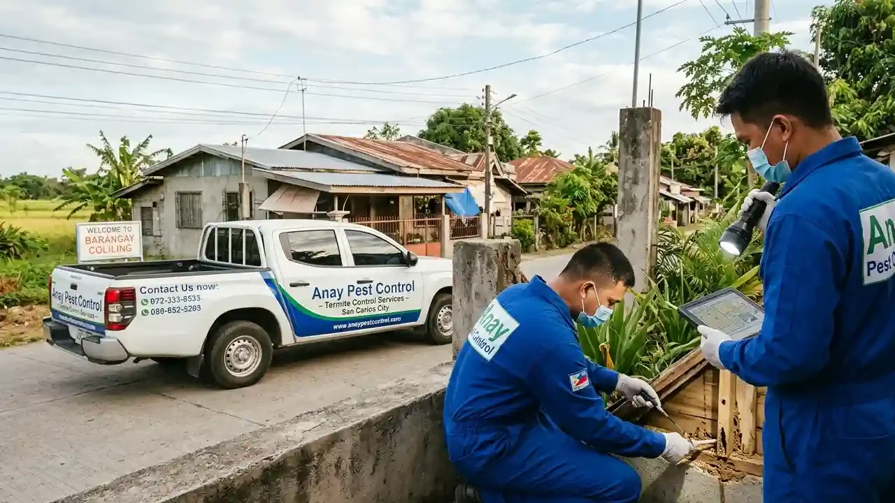 Termite Control in Barangay Coliling inspecting the woods affected by termites