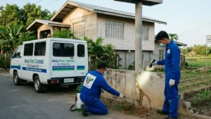 termite control in barangay tarece spraying termite solution on a wall